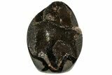 Polished Septarian Geode Sculpture - Black Crystals #124536-1